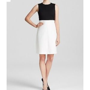 NWT Theory Raneid Dress Size 2